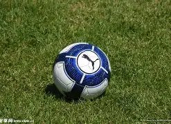 贾乃亮驳复,合传闻,虚假信息,欧宝娱乐,欧宝娱乐官网