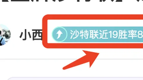 热刺教练：球队伤员众多，一月份将增强中场实力
